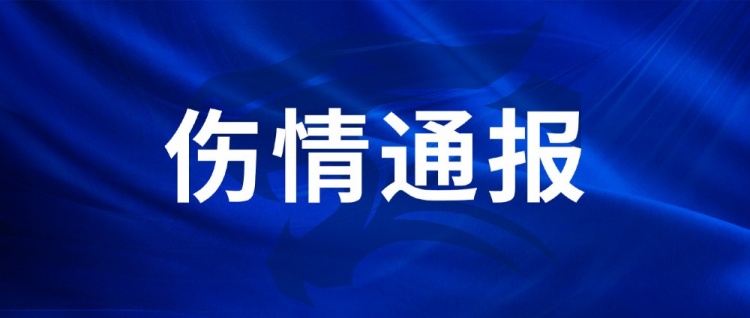 足协杯三镇折两将：王毅右膝韧带损伤休战4-6周，陈哲超踝伤2-3周